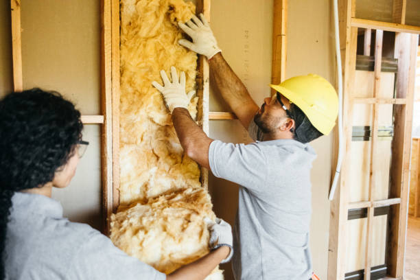 Best Crawl Space Insulation  in Hartsdale, NY
